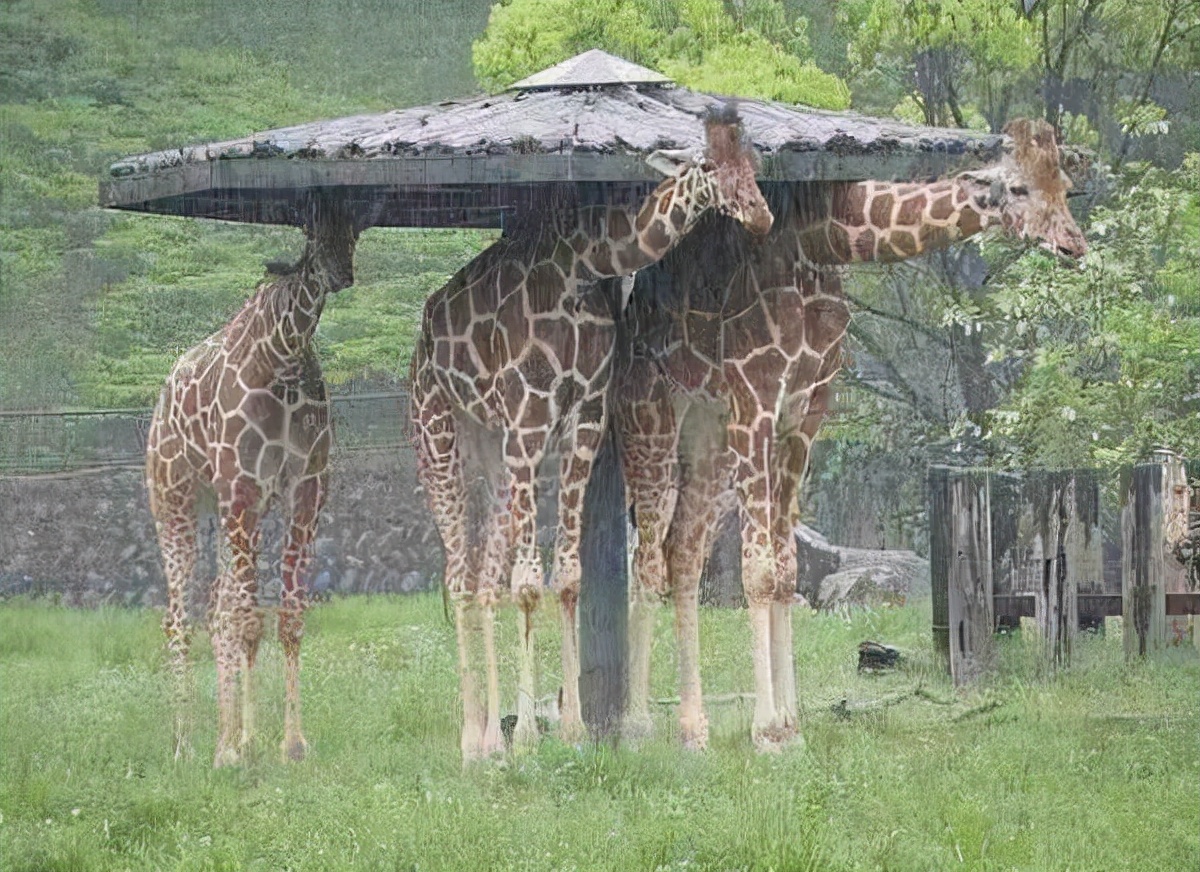 上班摸鱼看小说神器免费,上班看小说摸鱼神器推荐