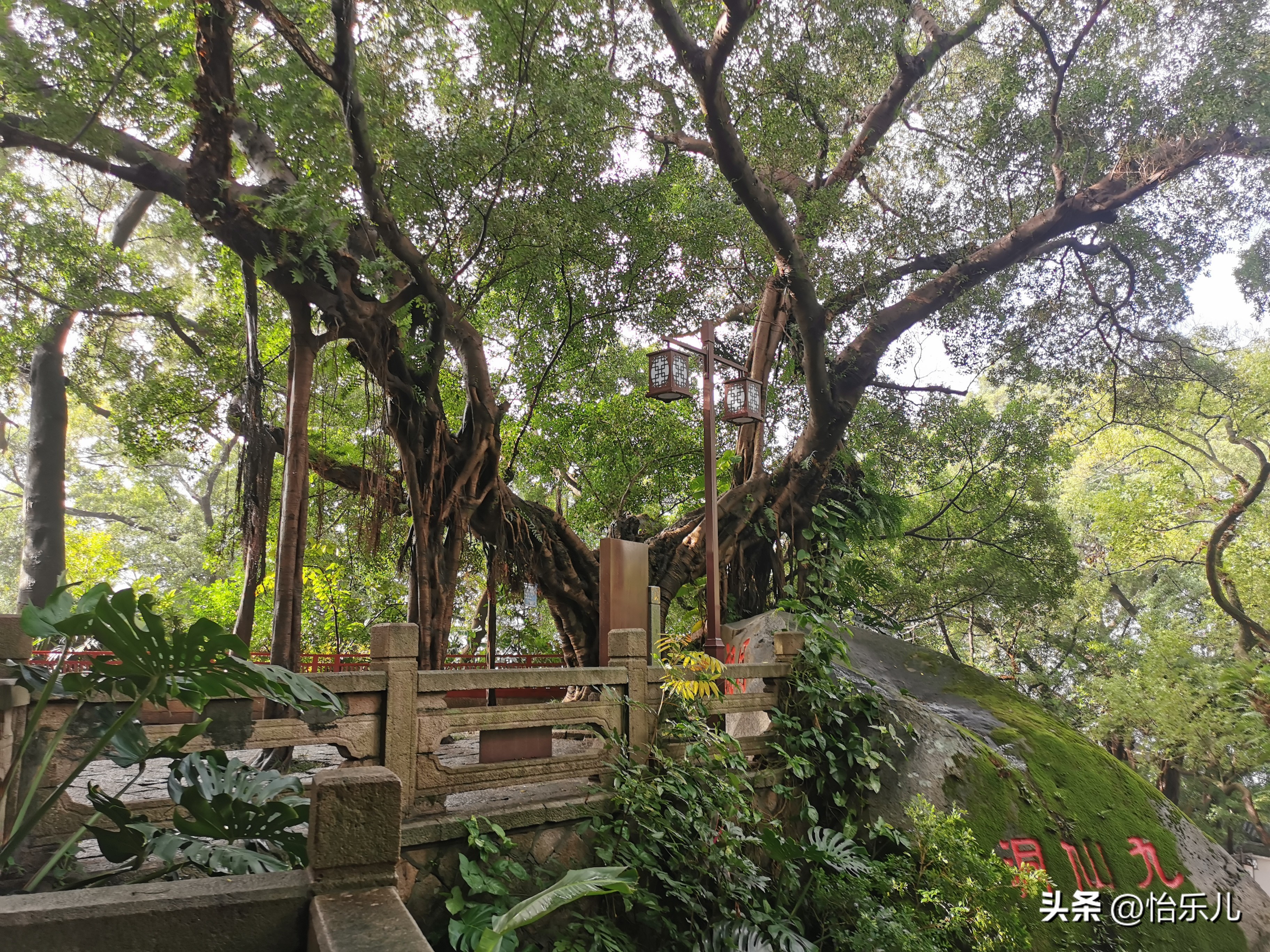 去福州玩三坊七巷,福州除了三坊七巷还有什么可玩