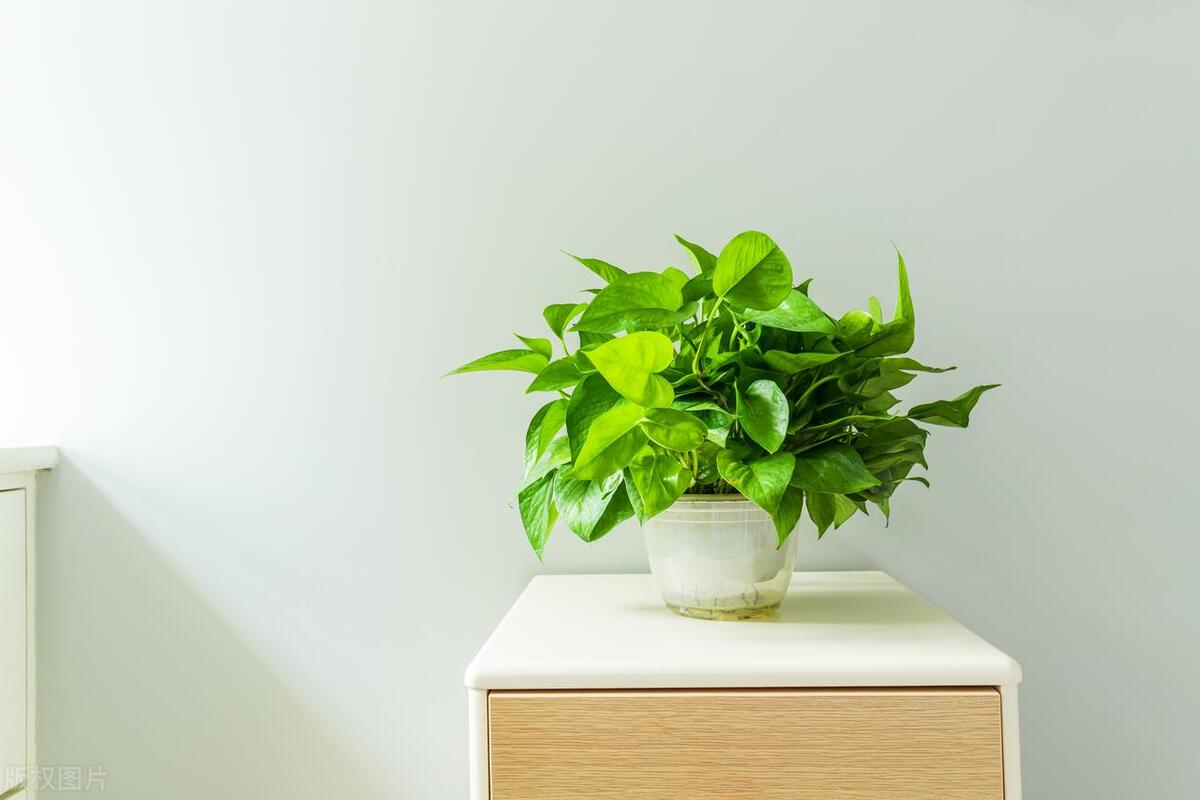 最简单实用的负离子发生器,diy自制负离子发生器的原理