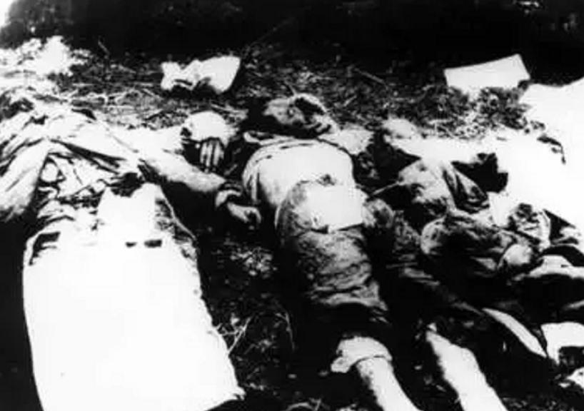 1953年人口普查，一干部奢侈行为被群众举报，竟是杀害杨虎城凶手