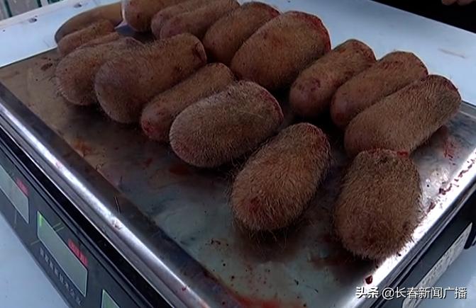 双阳区鹿乡鲜茸交易市场,双阳区鹿乡鲜茸交易市场在哪