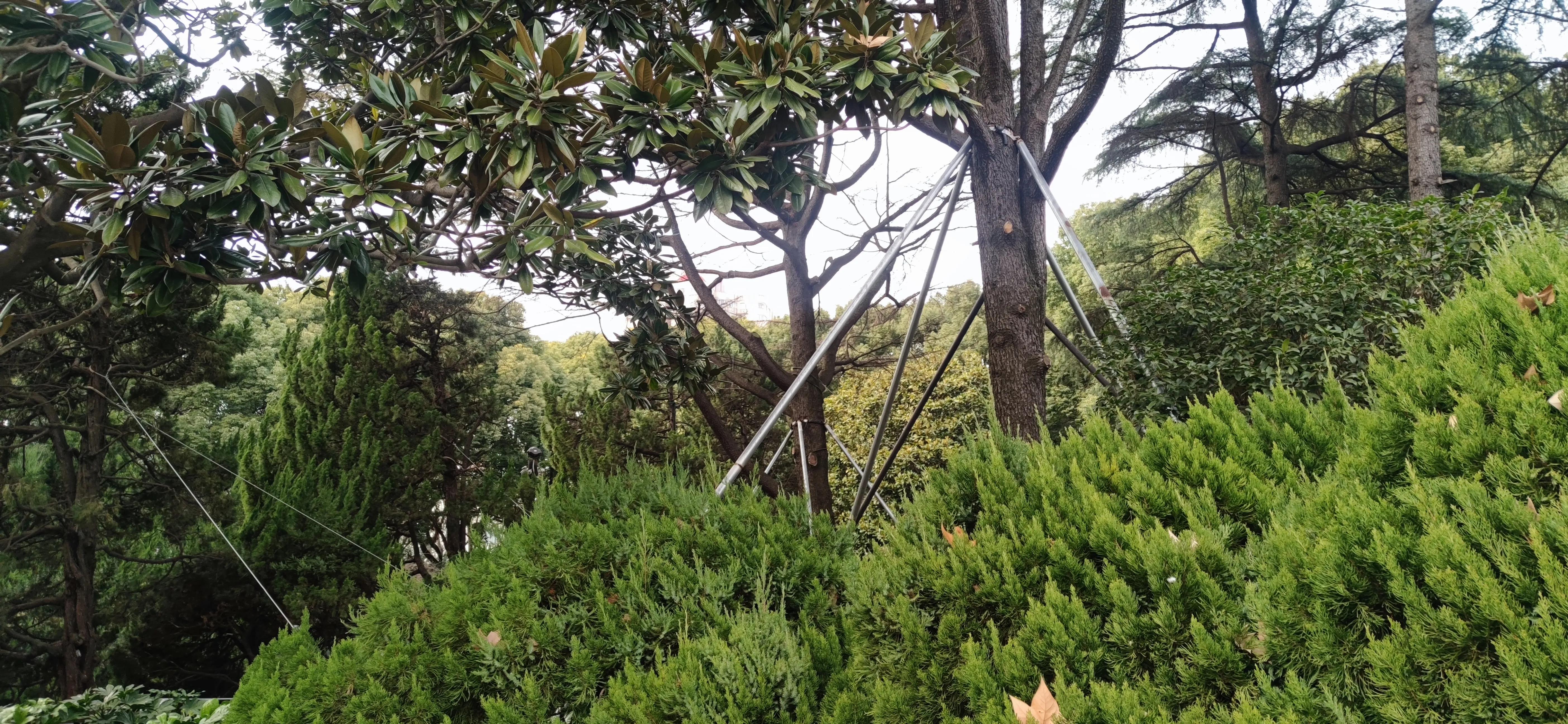 漫步鲁迅公园,周末鲁迅公园