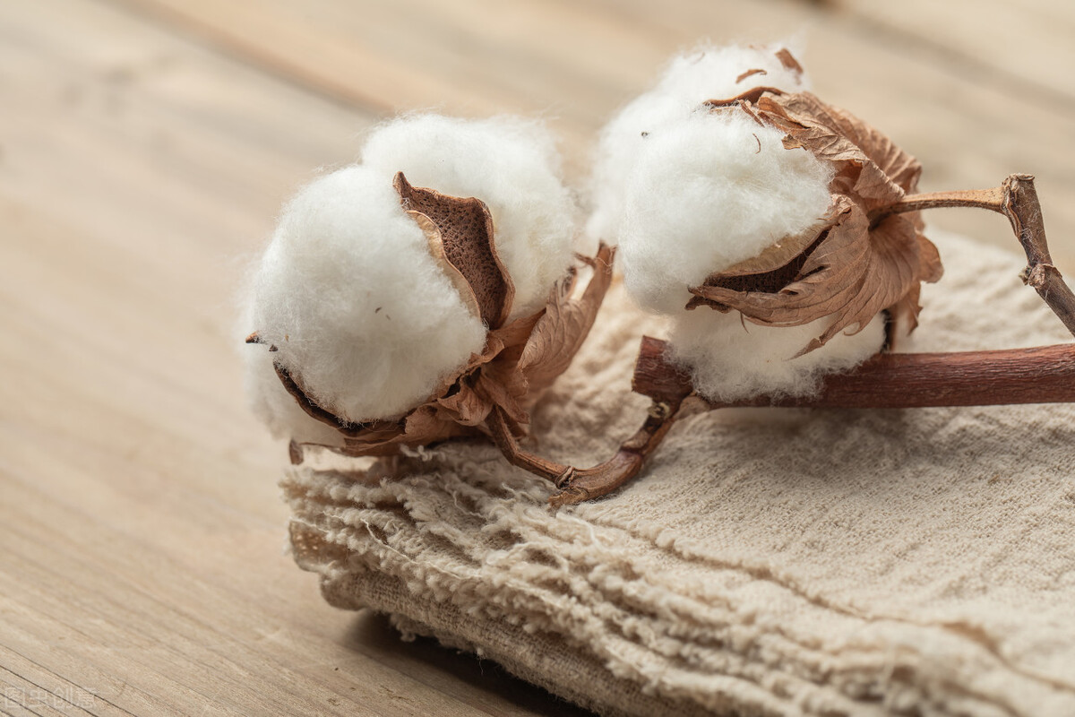 耐克阿迪现在用新疆棉花了吗,耐克阿迪现在用新疆棉花吗