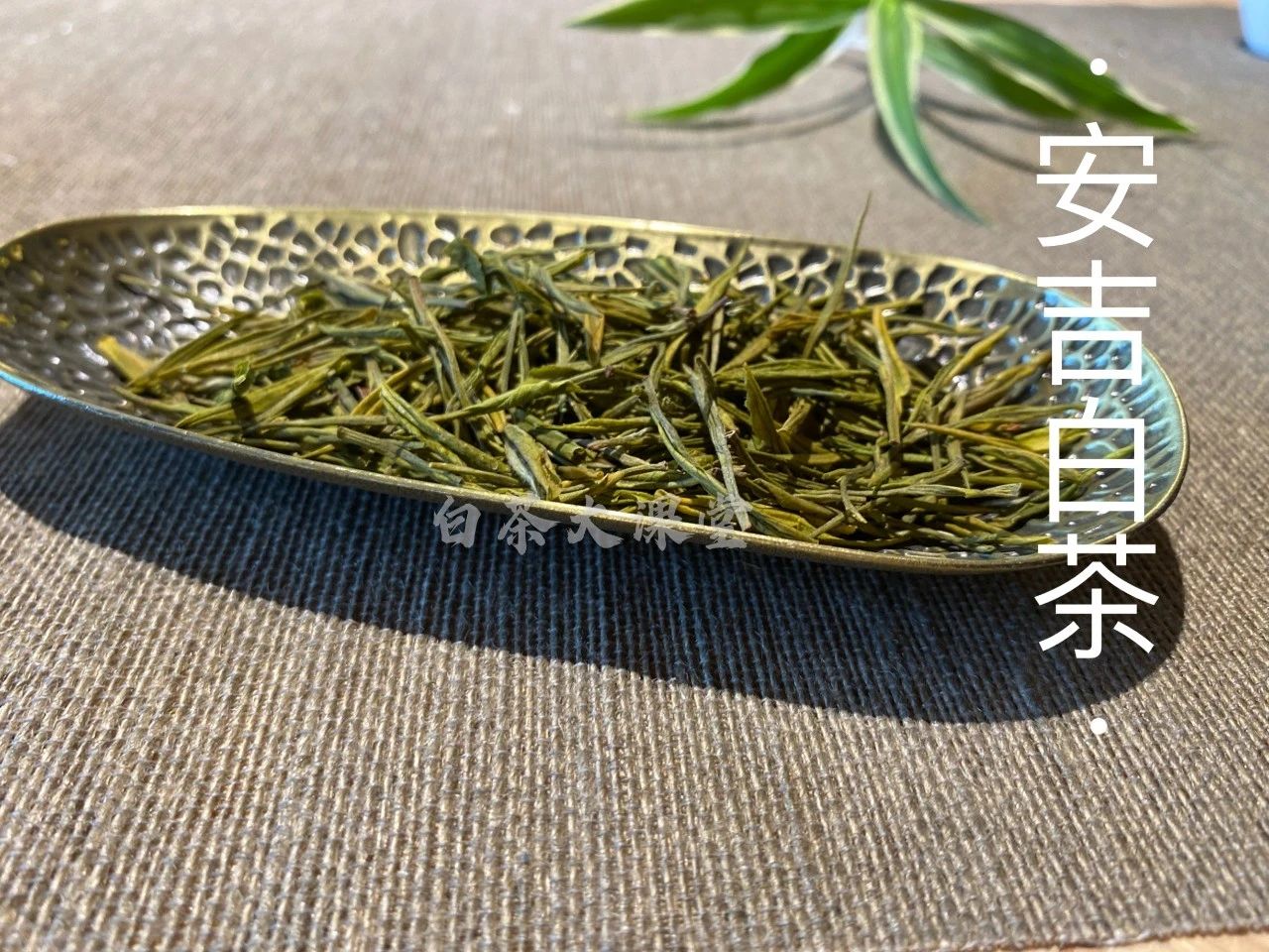 安吉白茶是六大茶类的白茶吗,六大茶类安吉白茶是什么