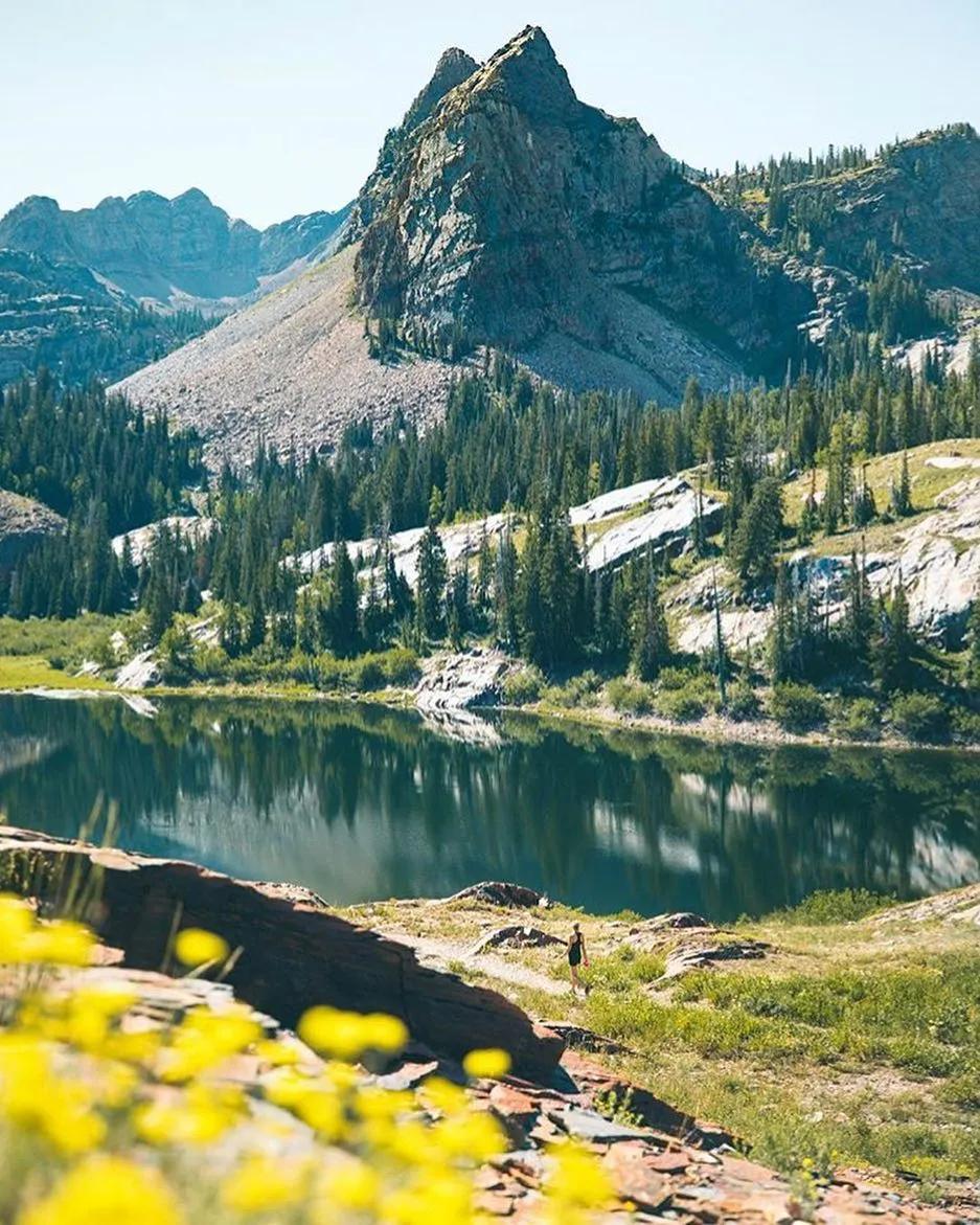 抢不到冰墩墩是什么梗,冬奥会冰墩墩2022