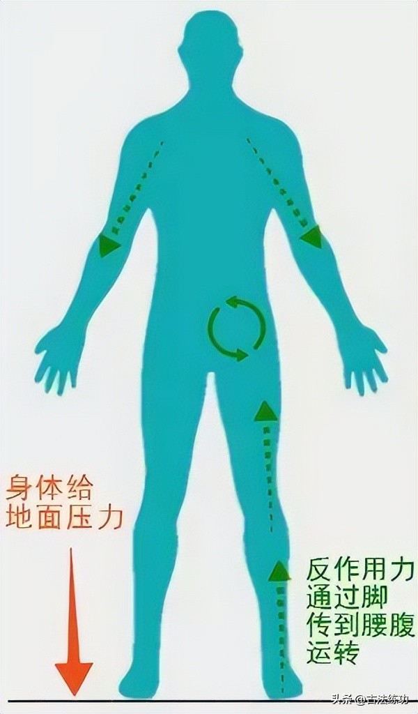 站桩内功解密视频,神奇的站桩视频