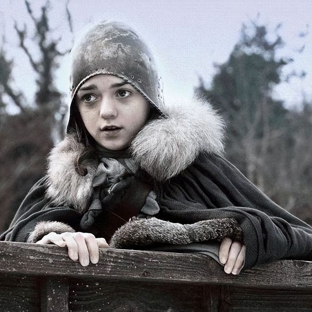 权游狼族成员,权力的游戏狼族成员二丫和三傻