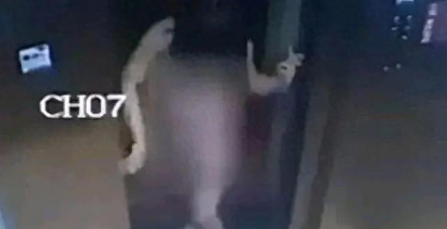 鐢垫涔嬫畤,鐢垫涔嬫畤2