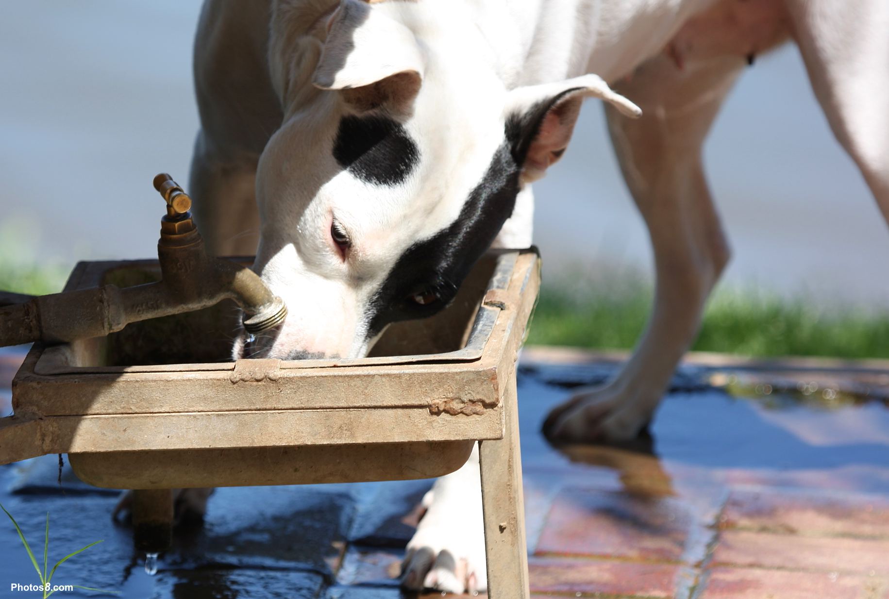 夏日避暑小妙招歌曲,夏日避暑小妙招幼儿园
