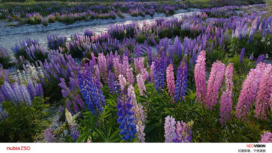 京东百亿补贴买哪个安卓手机好,安卓京东百亿补贴的手机怎么样