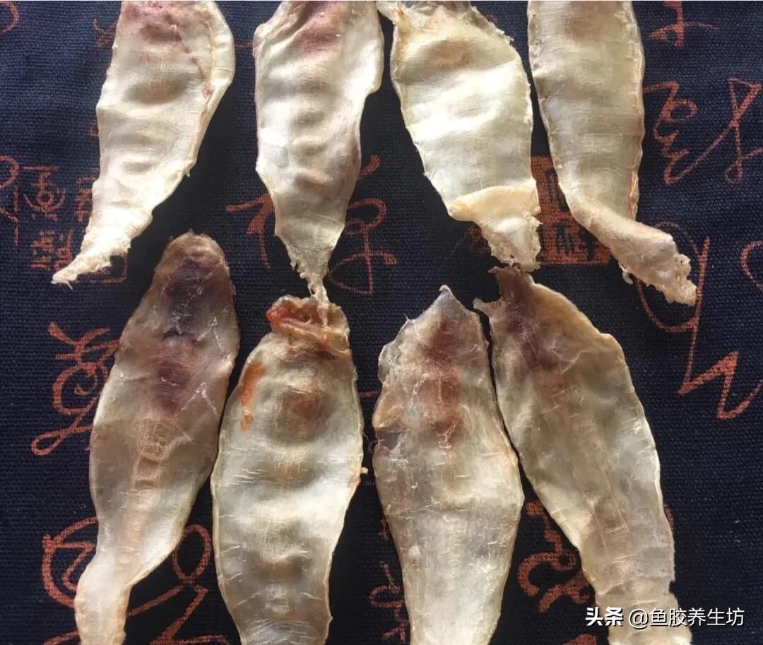 大口胶产自哪里,大口胶的作用