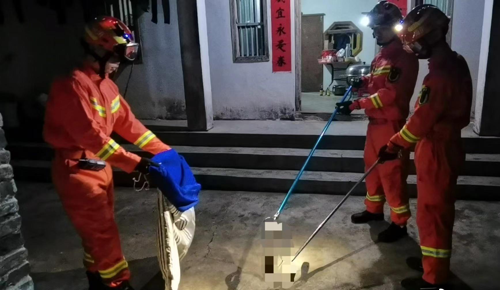 2米长大蟒蛇吓坏居民,深山出现巨大蟒蛇