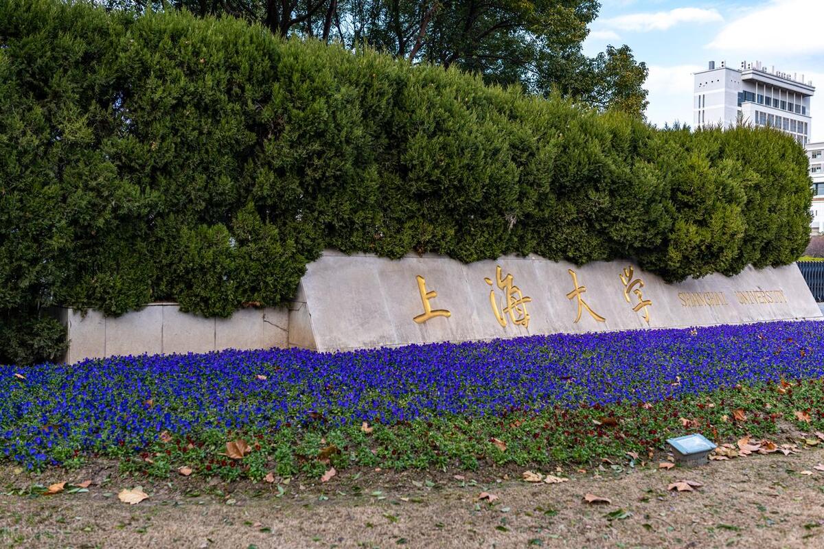 录取340人！上海大学2023年美术设计类专业录取分数线