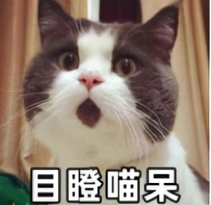 适合女生用的沐浴乳测评,最留香的沐浴露测评