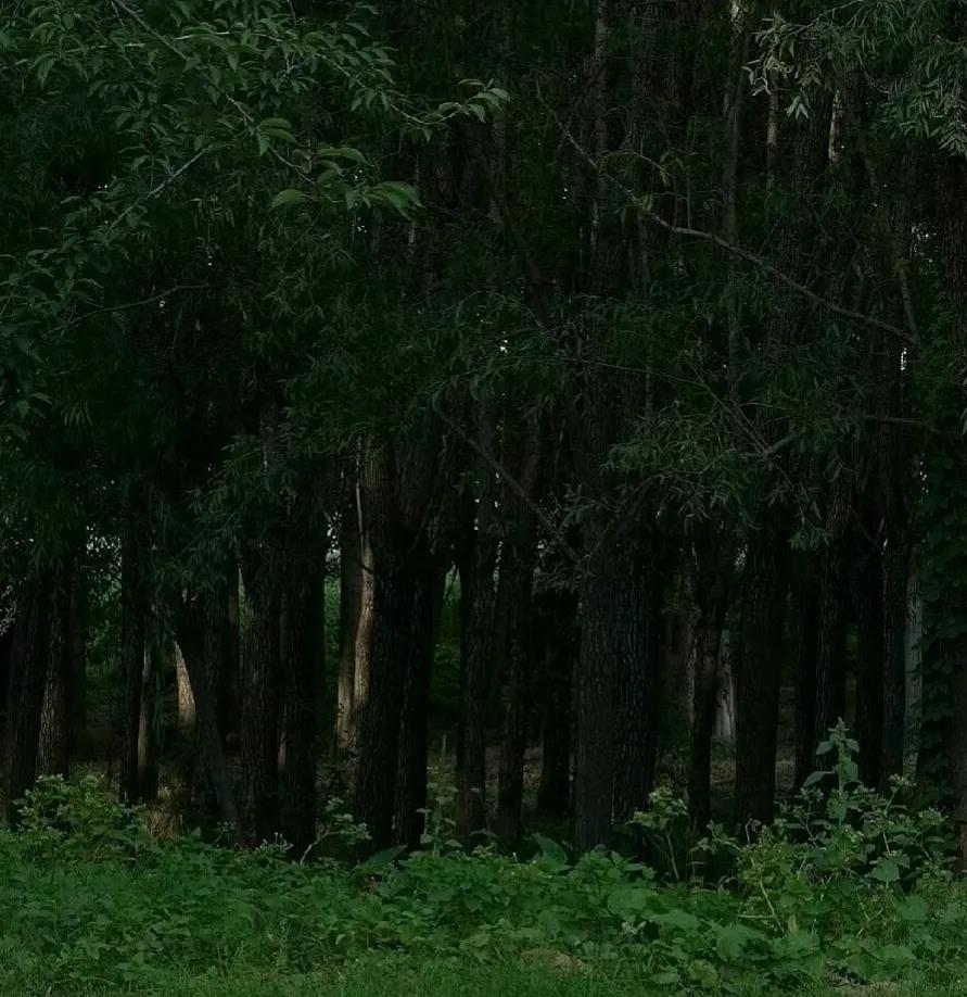 那些惊艳的香水广告词,惊艳香水广告文案分析