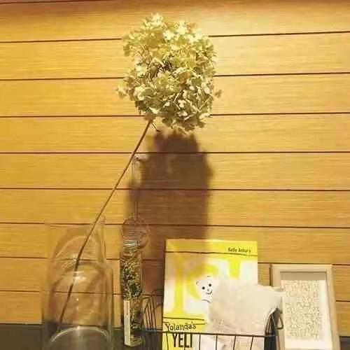 100个极简日常小建议,极简生活100个建议