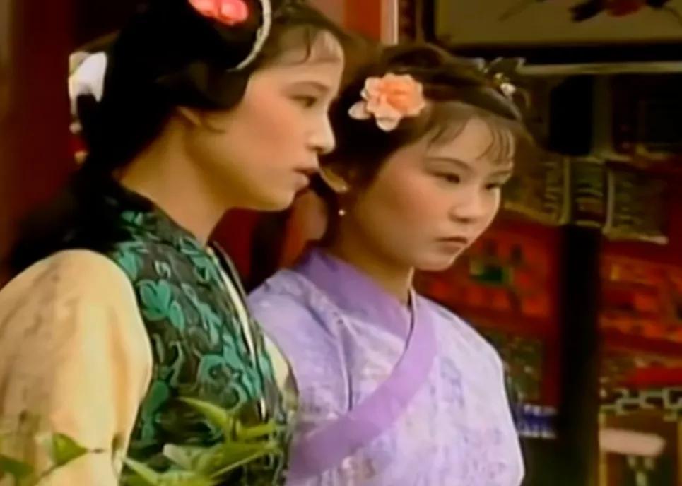 红楼梦晴雯与贾宝玉,红楼梦晴雯厮杀