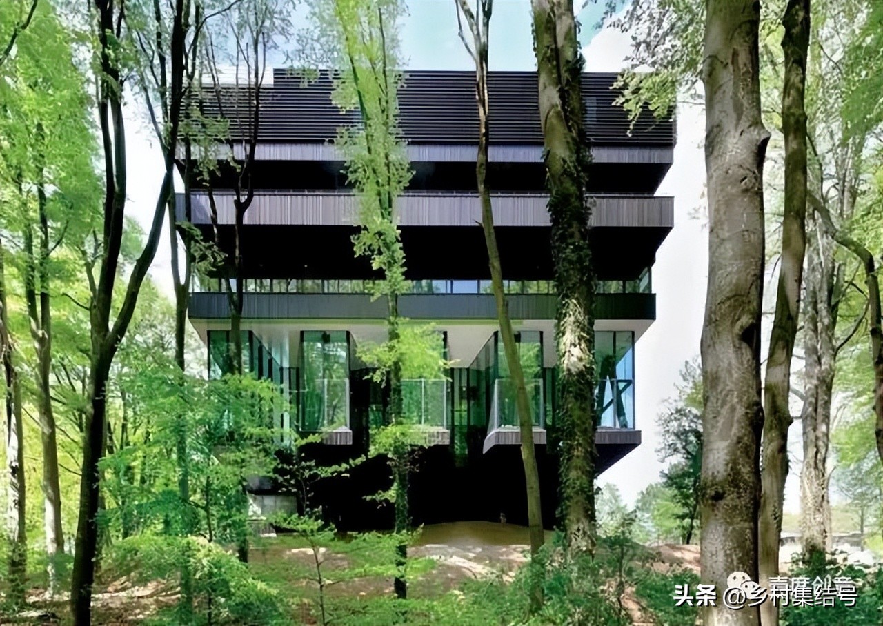 森林康养与森林疗养,森林疗养的正确方法