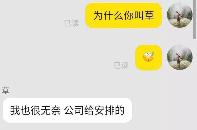 盘点搞笑网购翻车场面,盘点玩网购翻车爆笑名场面