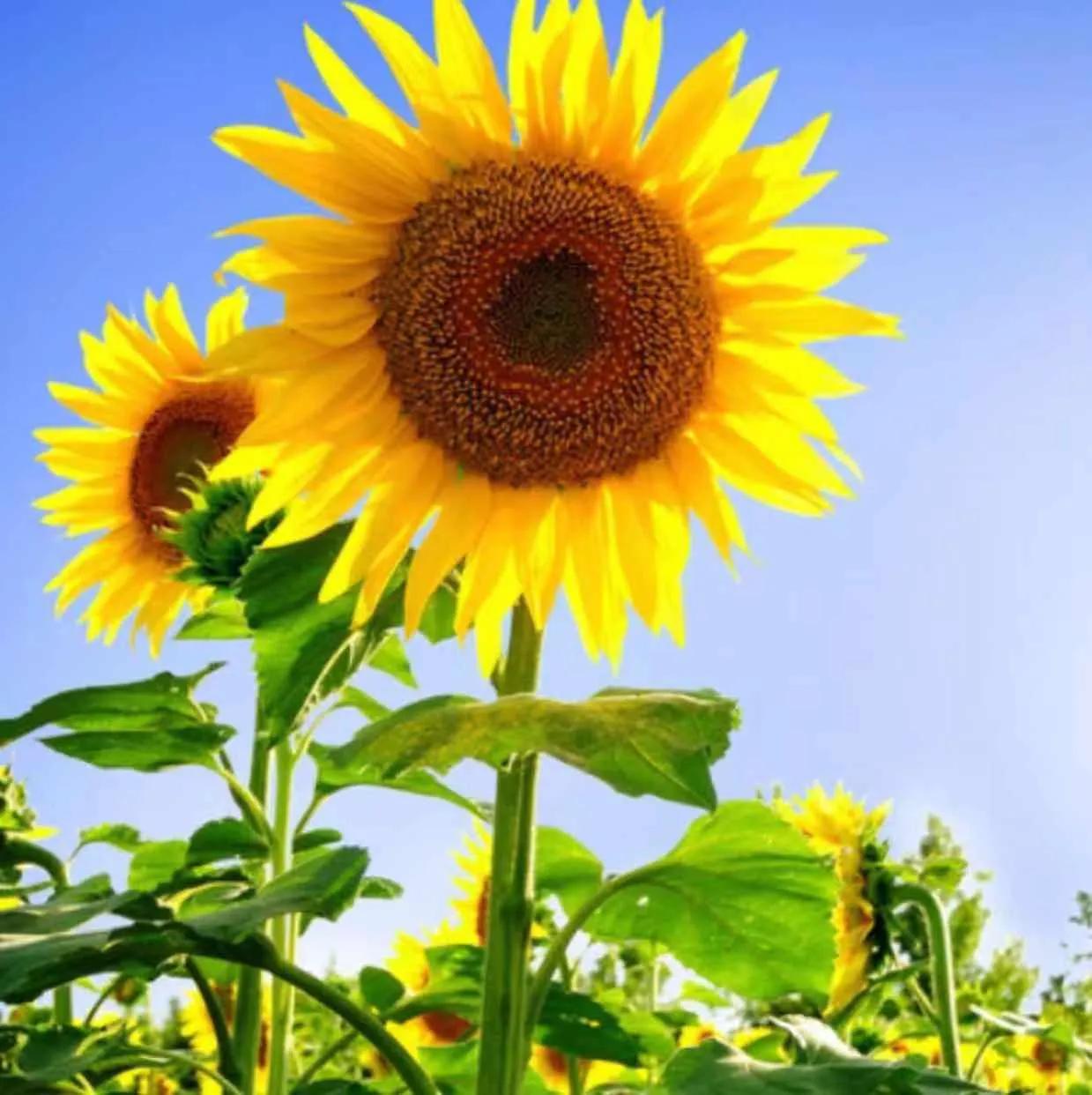 对音乐人的鼓励,我对音乐有自己的想法