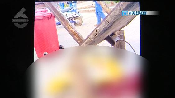 篮球架受伤男孩,痛心5岁男童因高空抛物被砸身亡