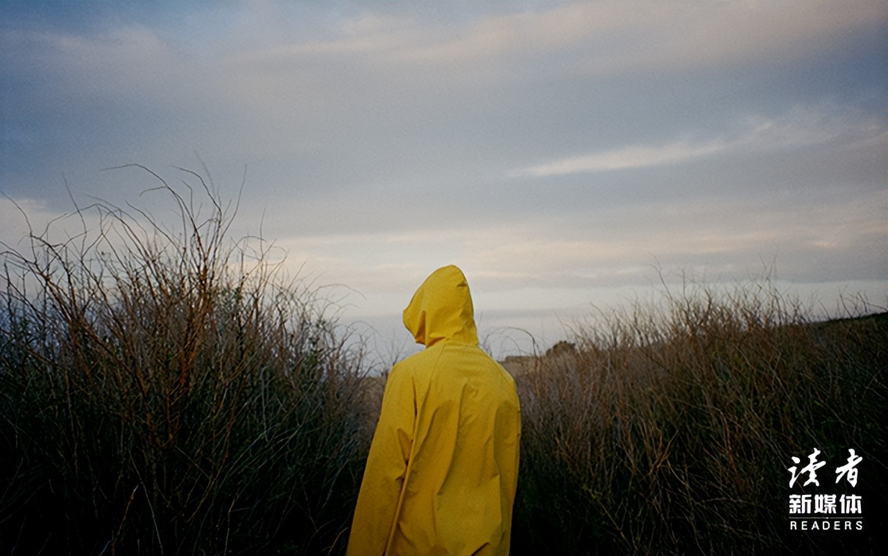 韭菜馅饺子风波,热搜韭菜馅饺子