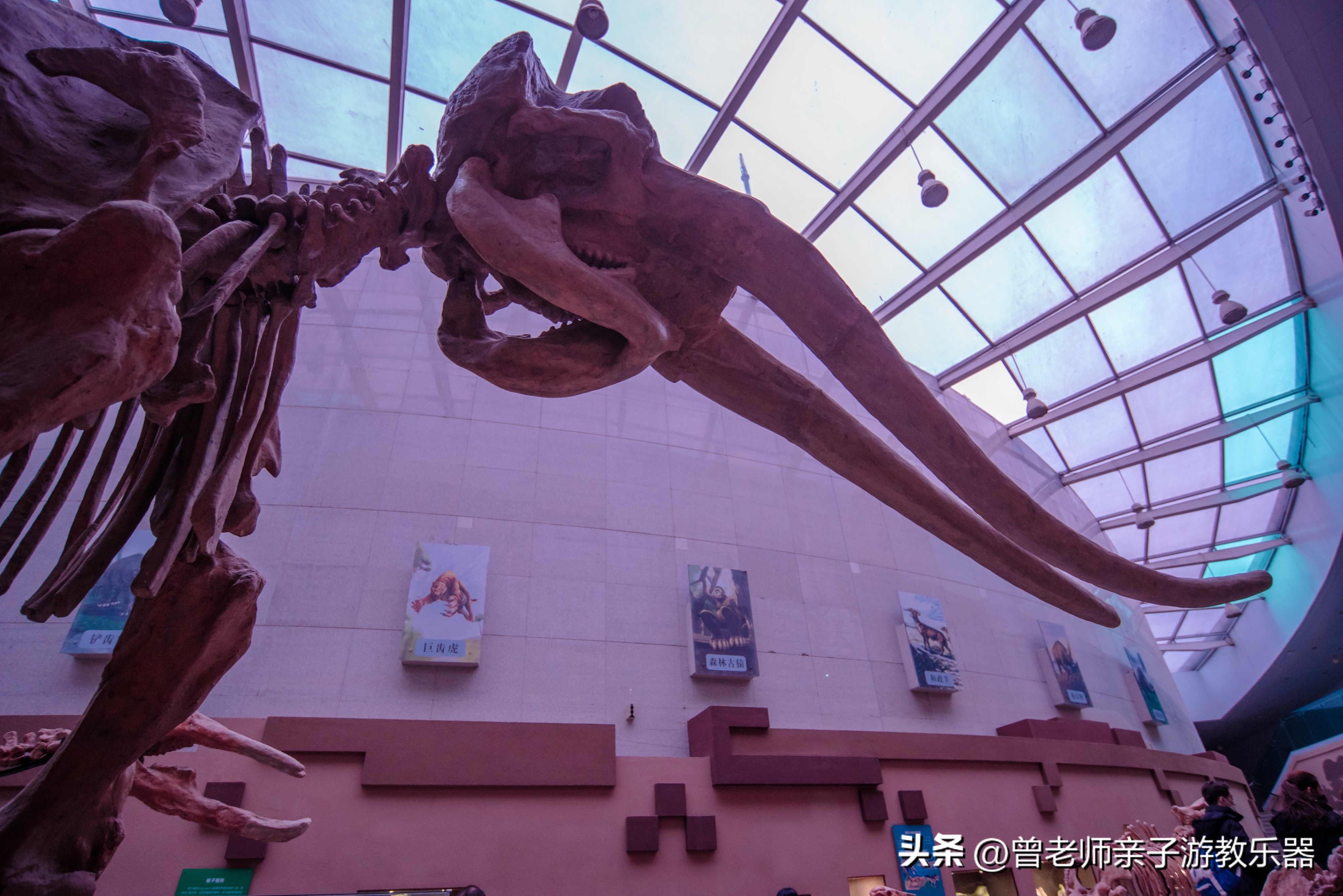 西安出发自驾亲子游,西安亲子游十大排名