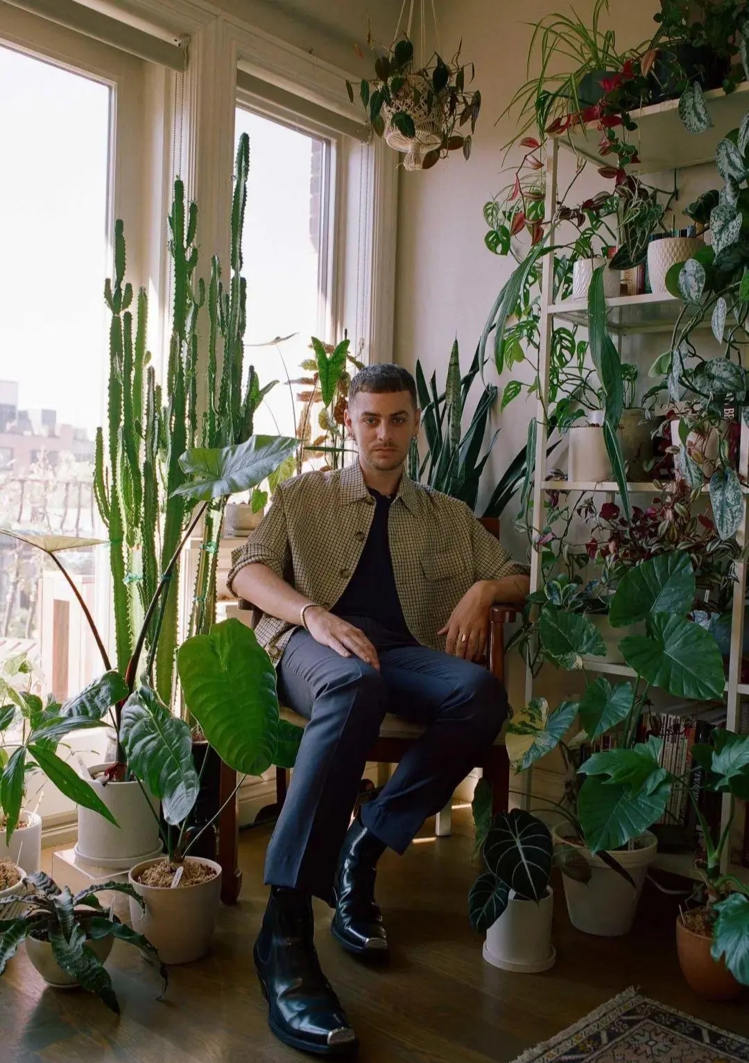 家居必备的几款高颜值中大型绿植,40款超治愈的家居绿植