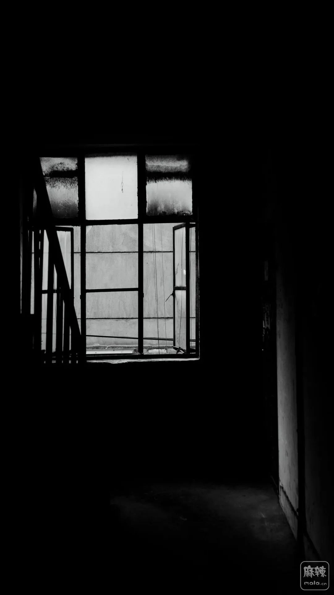 【汉诗专辑】潇潇|我的枝头向你压低