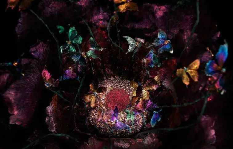 楂樼骇鐝犲疂缈昏溅,澶х墝棣栭グ鎾炴