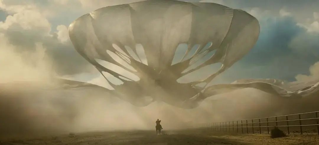 不要抬头看月亮知乎,不要抬头看月亮免费全文