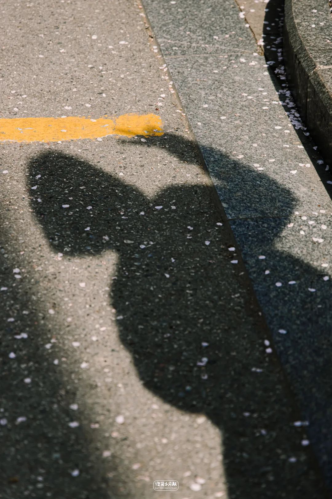 樱花最旺盛的时间,樱花最茂盛的时候是哪个季节