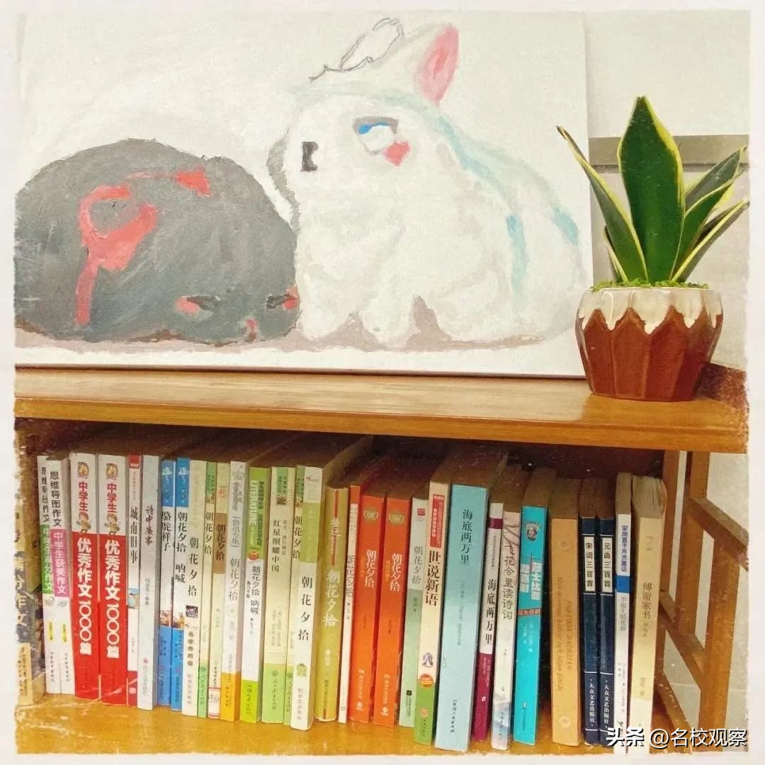 德阳成外教育园区,德阳成外教育园