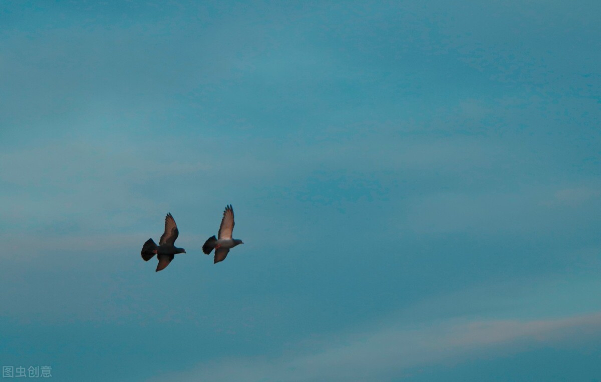 中国古代神话传说关于蛇的神仙,神话故事山海经中的蛇