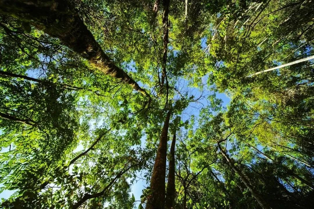 昆明周边世外桃源,最近昆明周边游玩景点推荐一日游
