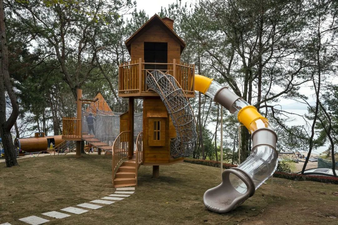 陈妙林直播,开元酒店集团董事长陈妙林