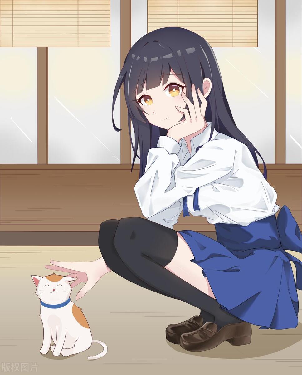 写网文小说需要了解和掌握的知识,网文新手写什么类型小说好