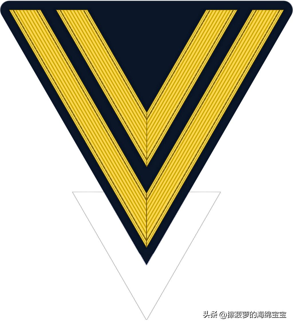 二战德国国防军医疗兵军衔标志