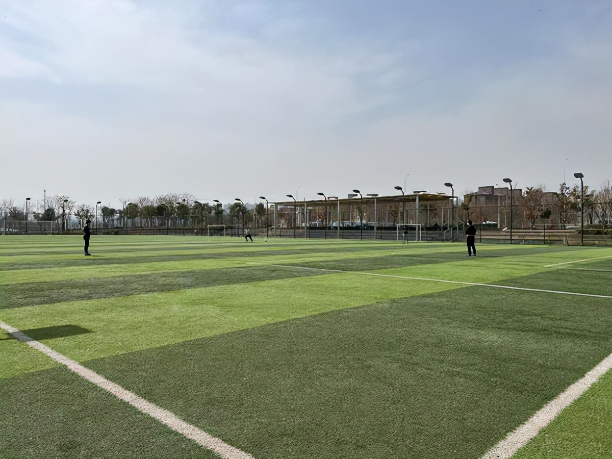 足球入场费,郑州足球场草坪费用