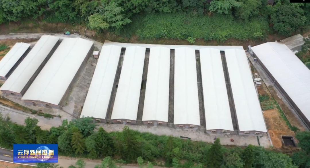 在家就能创业就业,这些云浮人的日子越来越有奔头