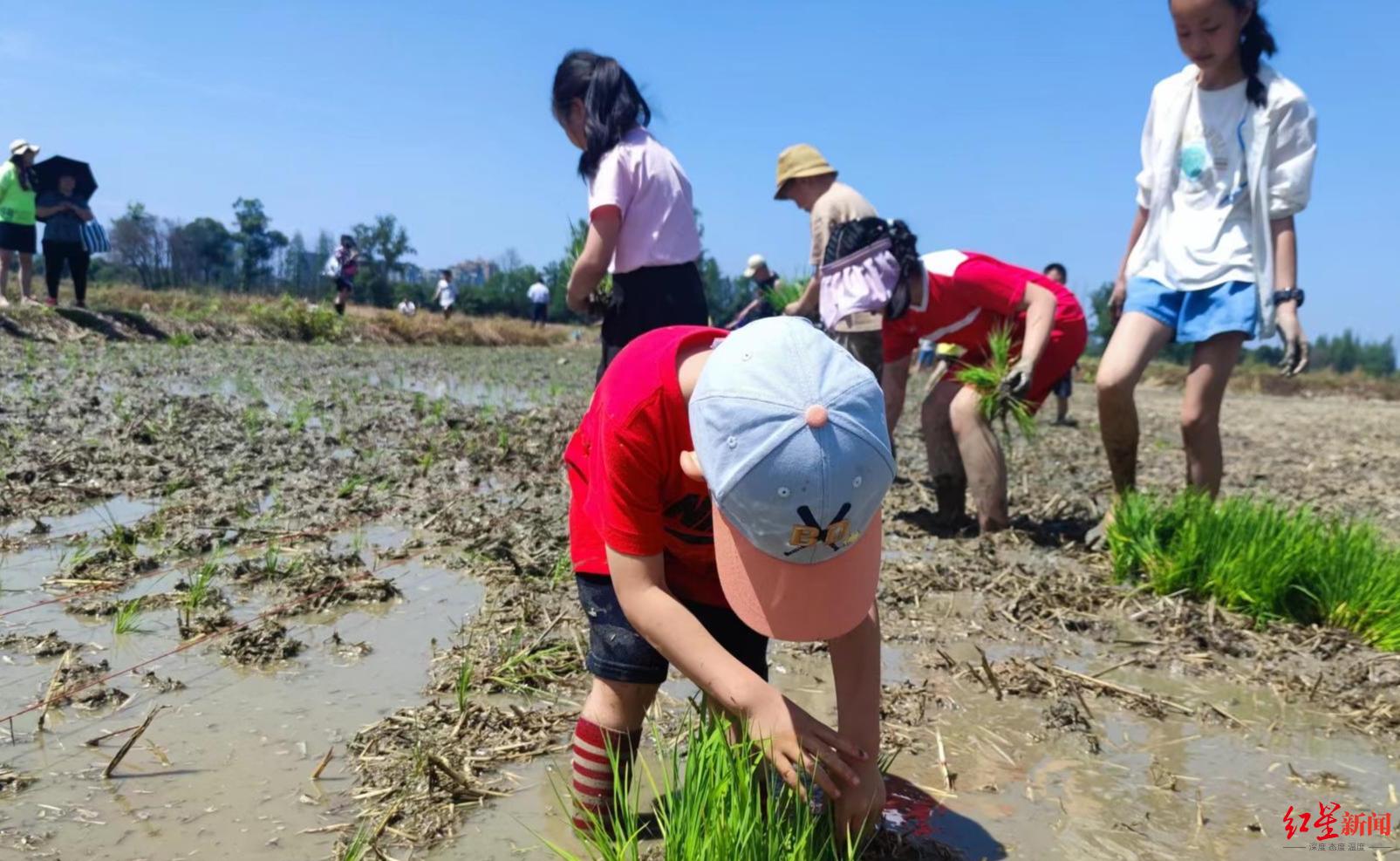 成都环城绿道规划图最新图,成都金牛区环城生态带最新规划