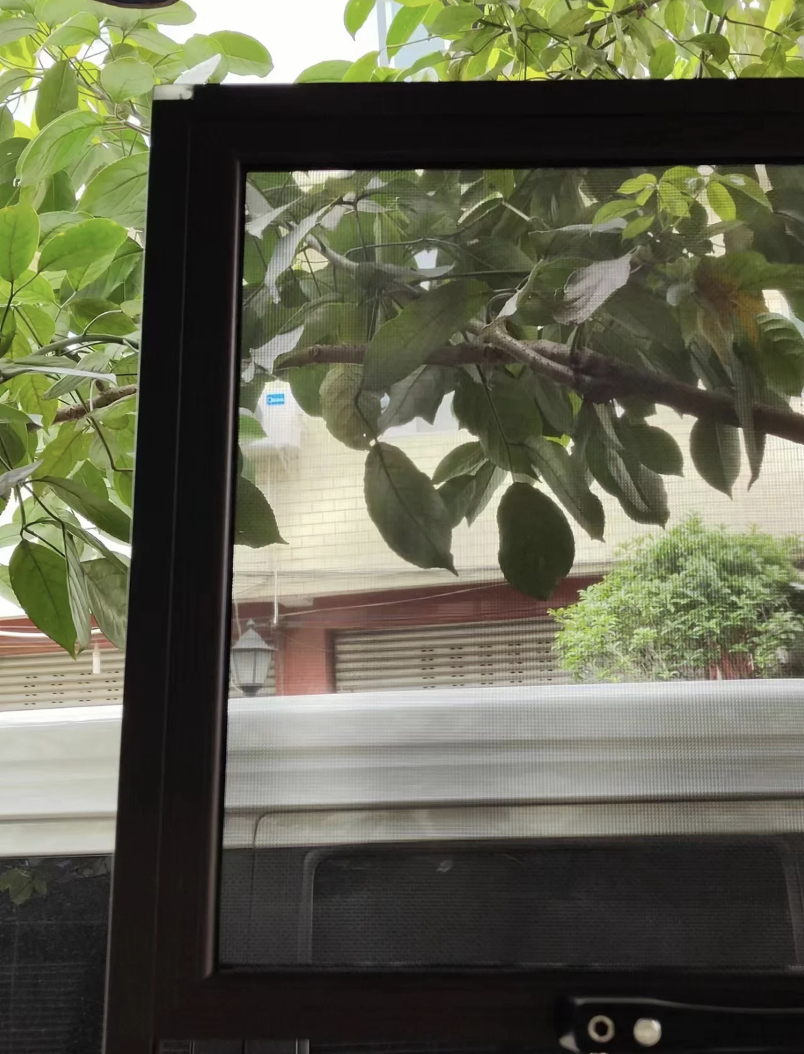 有必要换金刚网纱窗吗,为什么金刚纱窗不防蚊