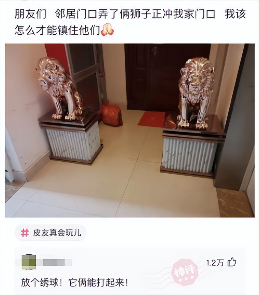 邻居门口放狮子我怎么破,邻居门口摆狮子我该怎么应对