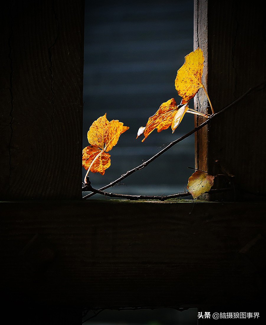 你拍的照片不够唯美,你拍的照片不清晰是怎么回事