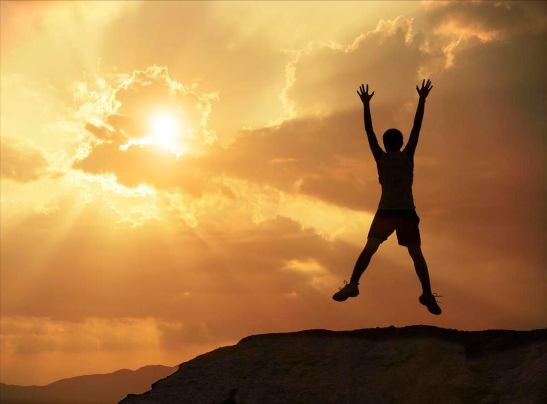 放飞梦想自由成长800字作文,放飞梦想自由翱翔的句子