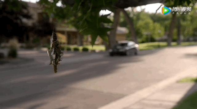 9.4分国产神剧,9.9分神剧