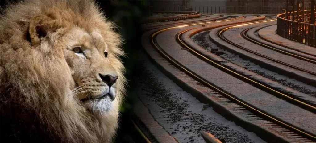 新时代·新设计|中国标志，在神州大地飞驰