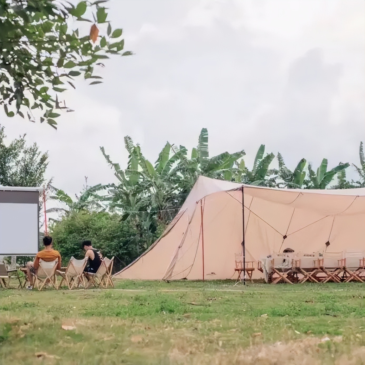 搜索量暴增5倍！消费新蓝海—户外露营