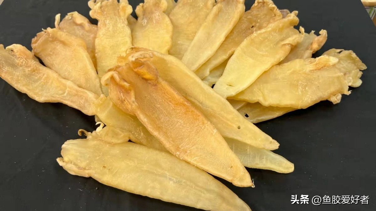 买什么鱼胶比较划算,1000元左右哪种鱼胶最好