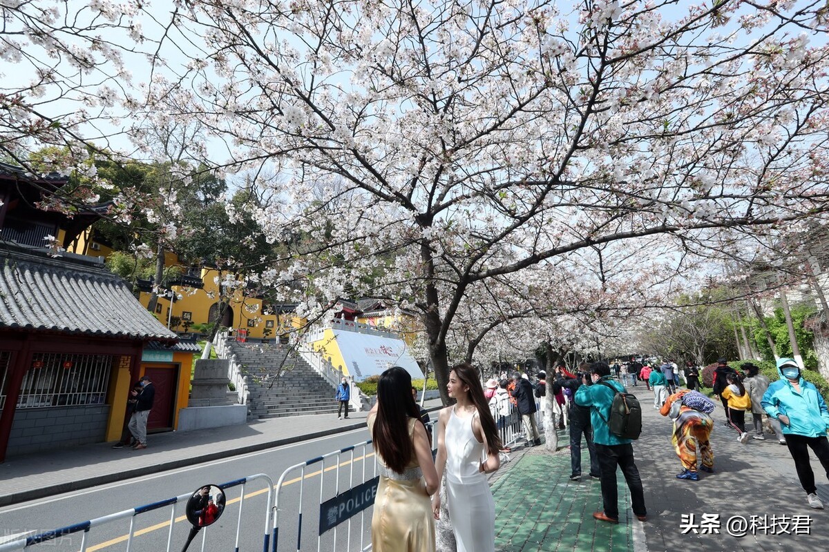 鸡鸣寺人潮拥挤,鸡鸣寺人山人海最新